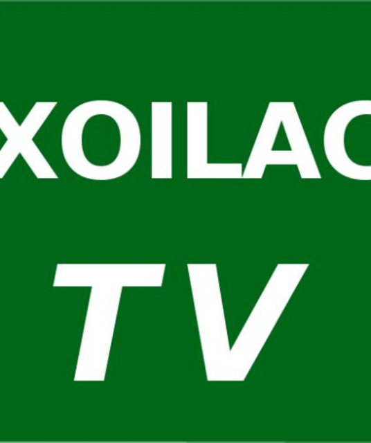 avatar XOILAC