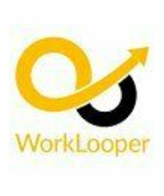 avatar WorkLooper consultants